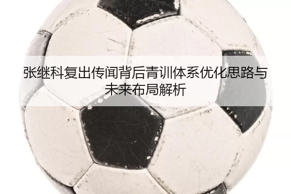 张继科复出传闻背后青训体系优化思路与未来布局解析